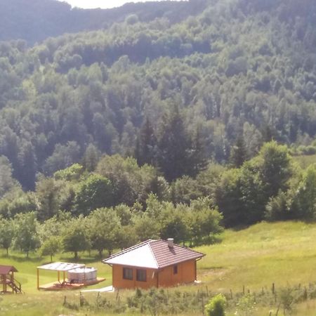 Bed and Breakfast Turizam Koturovic Ivanjica Exteriér fotografie