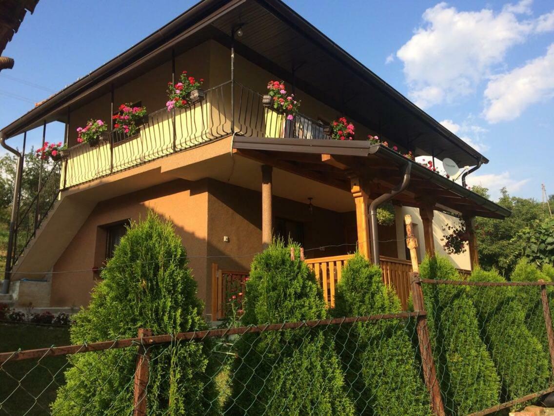 Bed and Breakfast Turizam Koturovic Ivanjica Exteriér fotografie